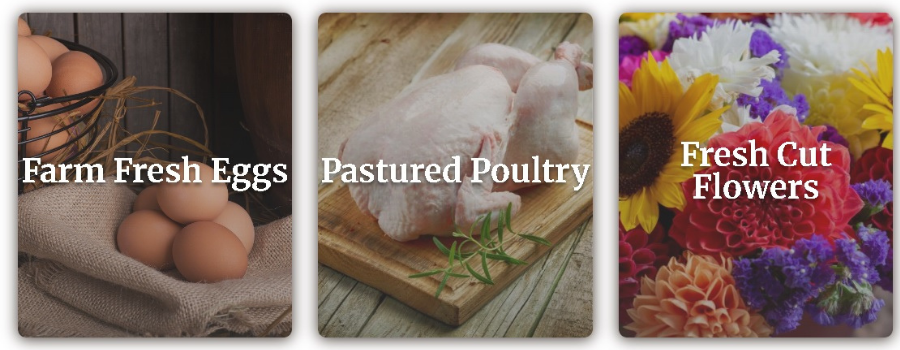 Store Boxes Shopping categories of farm products