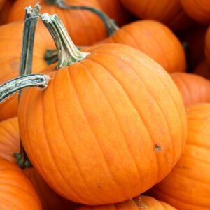 Veggies - Pumpkin (Small)