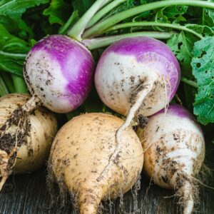 Veggies - Turnip