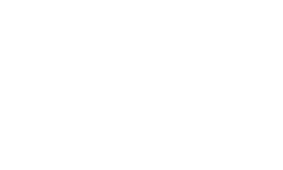 Website design logo placement