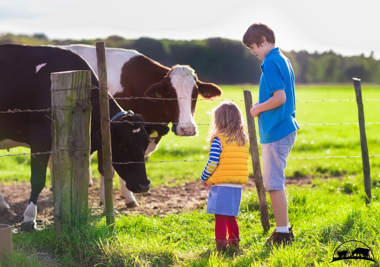 kids farm